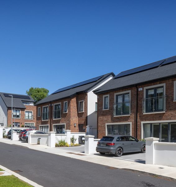 ImageWithFallback (51)