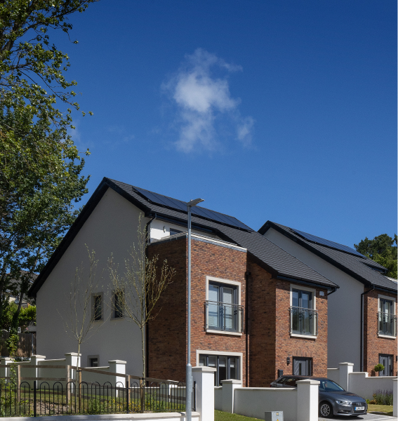 ImageWithFallback (53)